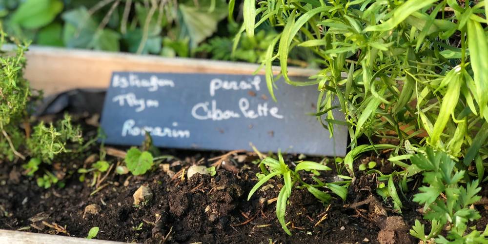 pour agrémenter la cuisine -  GITE DE SIFFRAY (Occitanie, Lot)