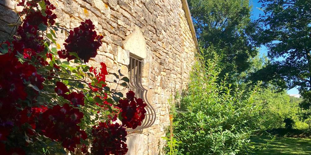 quelques fleurs -  GITE DE SIFFRAY (Occitanie, Lot)
