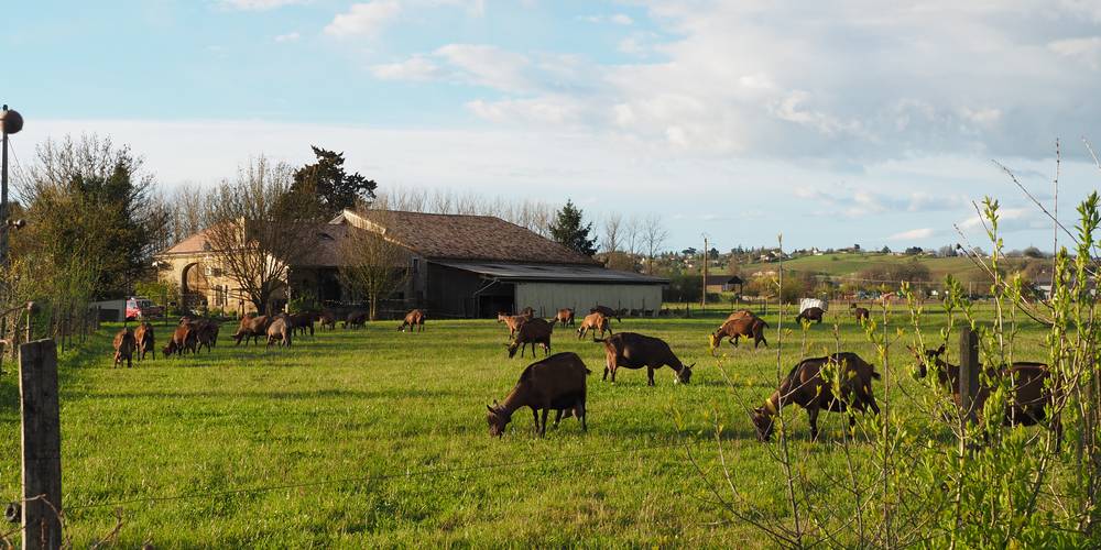  "LA MIELLERIE DE LANAUZE" (Nouvelle-Aquitaine, Lot-et-Garonne)