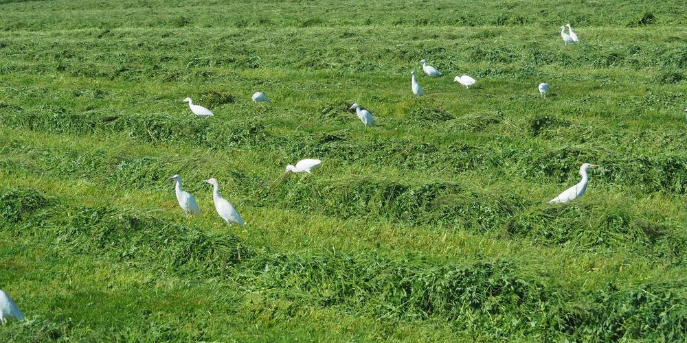  "LA MIELLERIE DE LANAUZE" (Nouvelle-Aquitaine, Lot-et-Garonne)