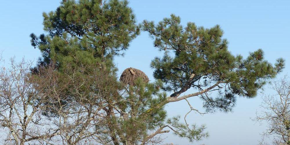  "LA MIELLERIE DE LANAUZE" (Nouvelle-Aquitaine, Lot-et-Garonne)