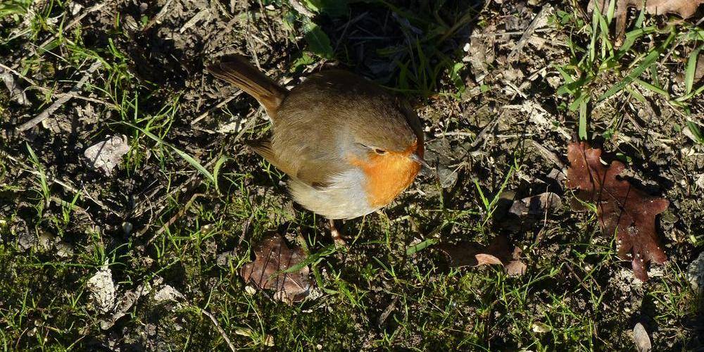 "LA MIELLERIE DE LANAUZE" (Nouvelle-Aquitaine, Lot-et-Garonne)