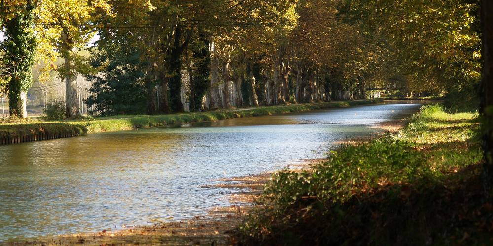  "LA MIELLERIE DE LANAUZE" (Nouvelle-Aquitaine, Lot-et-Garonne)
