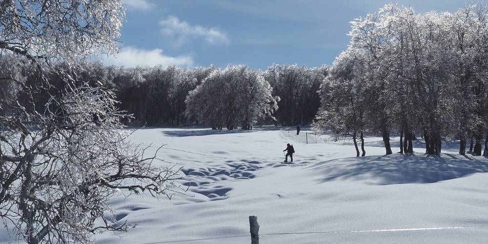 "LA MIELLERIE DE LANAUZE" (Nouvelle-Aquitaine, Lot-et-Garonne)