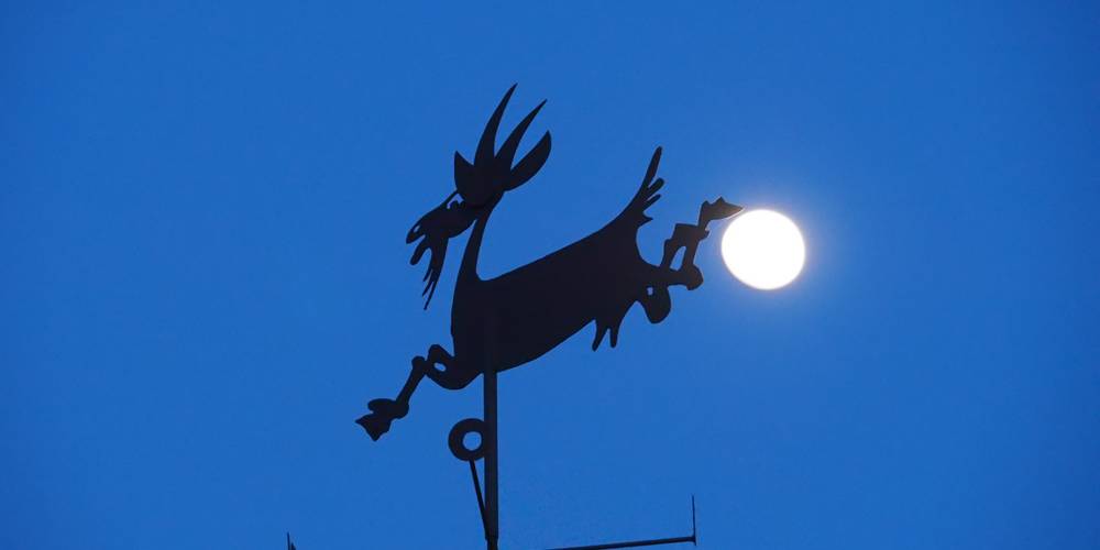  "LA MIELLERIE DE LANAUZE" (Nouvelle-Aquitaine, Lot-et-Garonne)