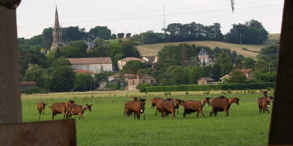  "LA MIELLERIE DE LANAUZE" (Nouvelle-Aquitaine, Lot-et-Garonne)