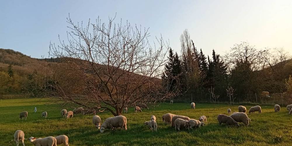  Les Cabris (Auvergne-Rhône-Alpes, Drôme)