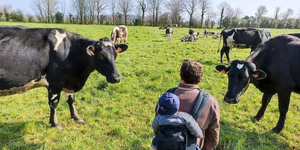  Ferme de la binolais (Normandie, Manche)