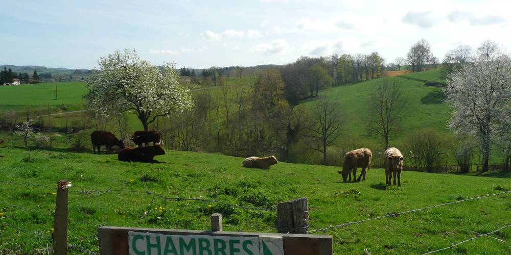 Bienvenue -  LES UNS LES Z'HOTES (Auvergne-Rhône-Alpes, Loire)
