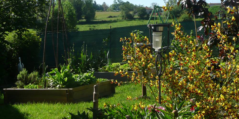 jardin en carrés -  LES UNS LES Z'HOTES (Auvergne-Rhône-Alpes, Loire)