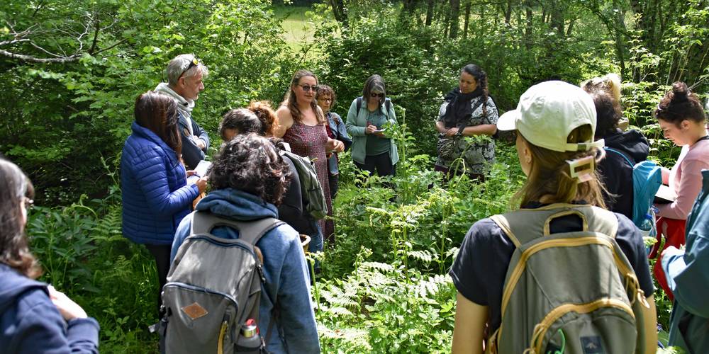 Naturellement Simples - stage botanique -  NATURELLEMENT SIMPLES (Occitanie, Aveyron)