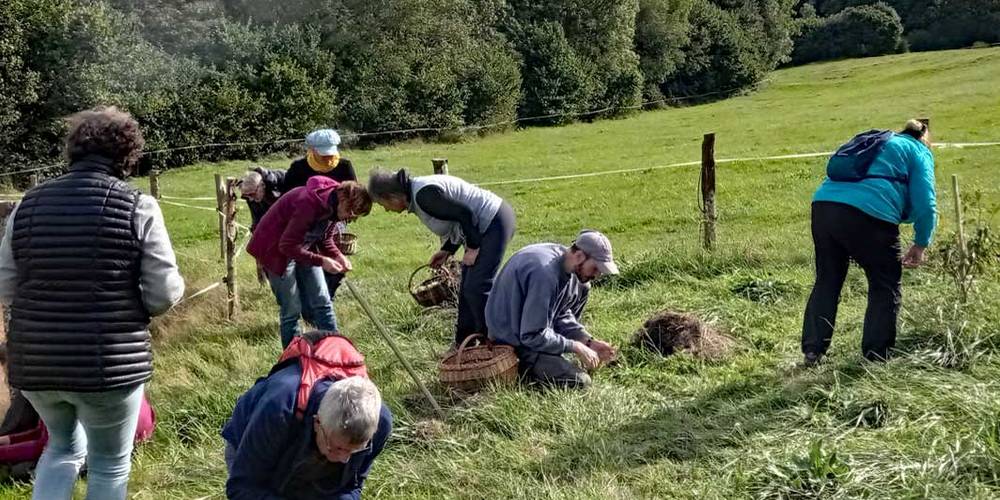 Naturellement Simples - stage cuisine sauvage -  NATURELLEMENT SIMPLES (Occitanie, Aveyron)
