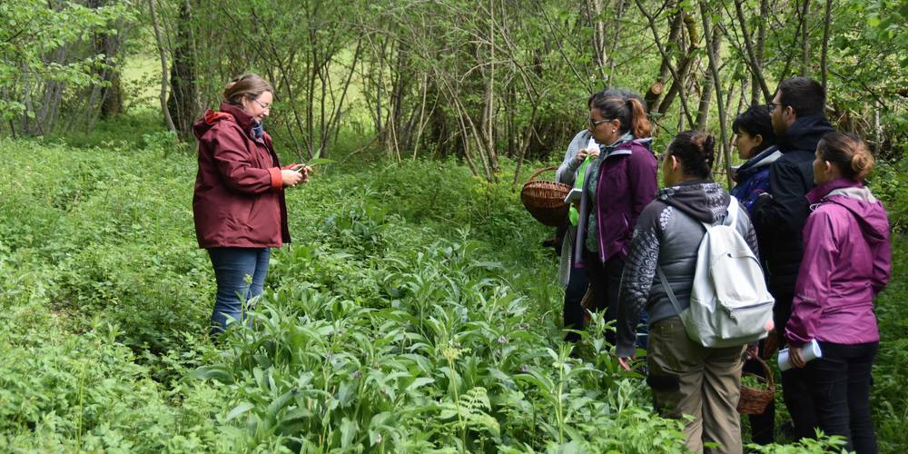 Naturellement Simples - stage autour des plantes -  NATURELLEMENT SIMPLES (Occitanie, Aveyron)