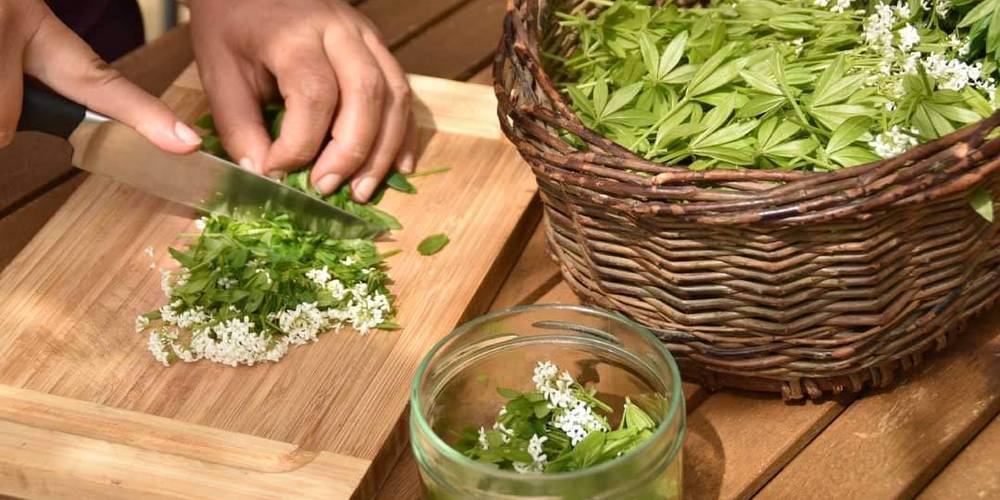 Naturellement Simples - stage herboristerie -  NATURELLEMENT SIMPLES (Occitanie, Aveyron)