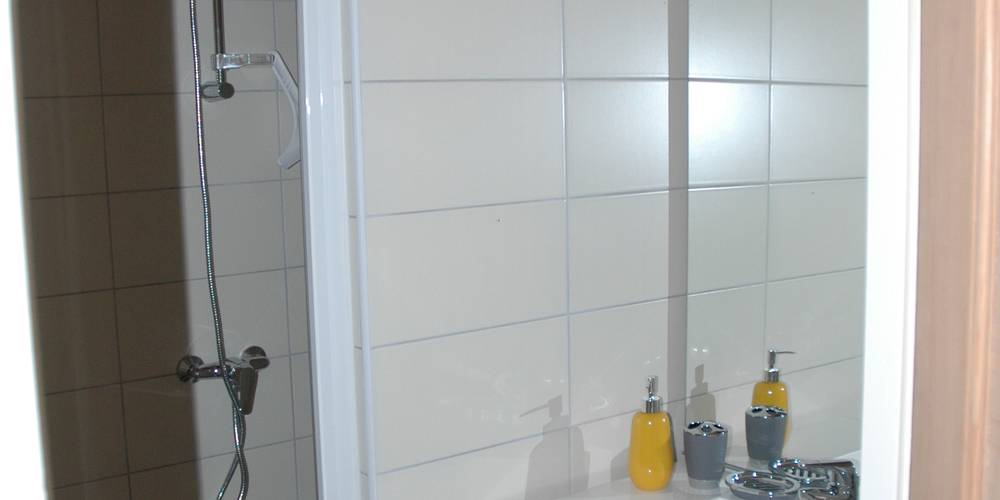  LE CHANT DU RUISSEAU (Auvergne-Rhône-Alpes, Loire)