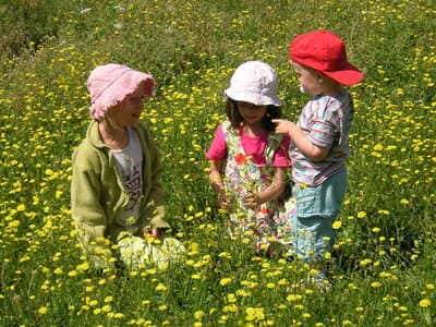  Un Gîte au Pré (Nouvelle-Aquitaine, Deux-Sèvres)