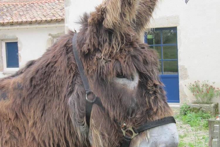  Un Gîte au Pré (Nouvelle-Aquitaine, Deux-Sèvres)
