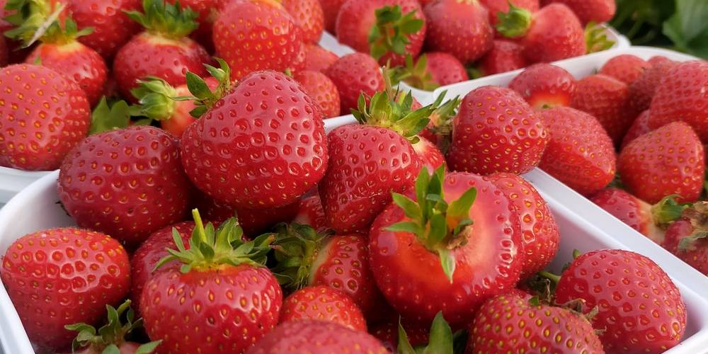  Un Gîte au Pré (Nouvelle-Aquitaine, Deux-Sèvres)