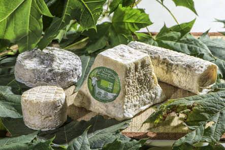  Un Gîte au Pré (Nouvelle-Aquitaine, Deux-Sèvres)