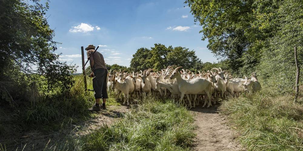  Un Gîte au Pré (Nouvelle-Aquitaine, Deux-Sèvres)