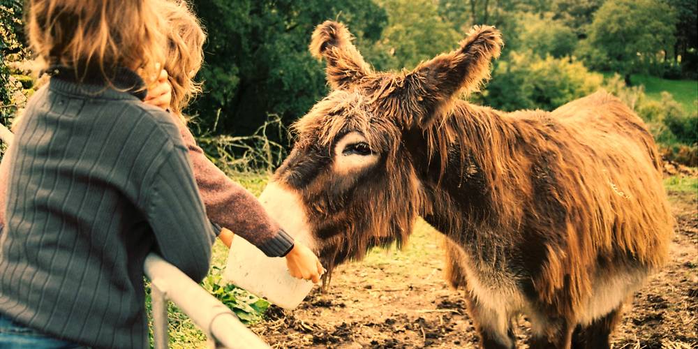  Un Gîte au Pré (Nouvelle-Aquitaine, Deux-Sèvres)