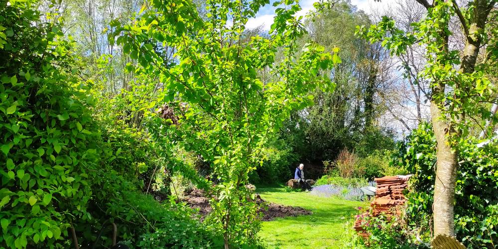  De rounde kaffoore (Hauts-de-France, Nord)