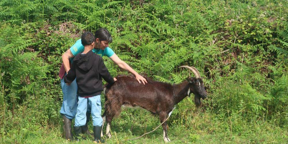  AUX CHAMBRES DE PENFOND (Bretagne, Finistère)