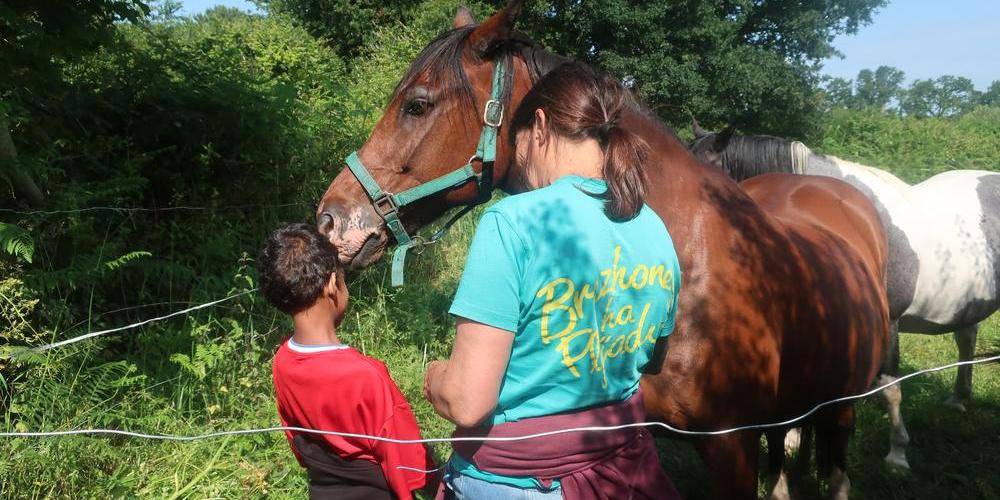  AUX CHAMBRES DE PENFOND (Bretagne, Finistère)