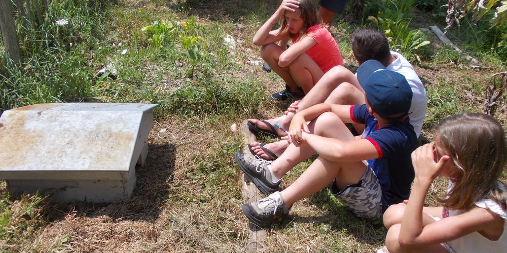 On attend la sortie des bébés hérissons ! -  APYRAINE (Nouvelle-Aquitaine, Dordogne)