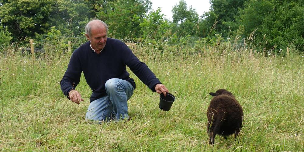  APYRAINE (Nouvelle-Aquitaine, Dordogne)