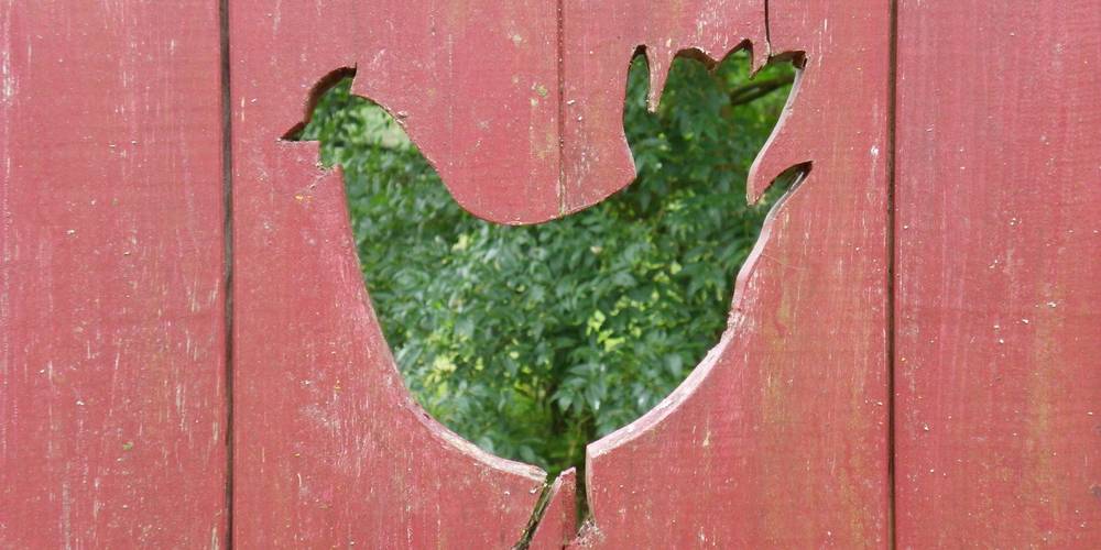  APYRAINE (Nouvelle-Aquitaine, Dordogne)