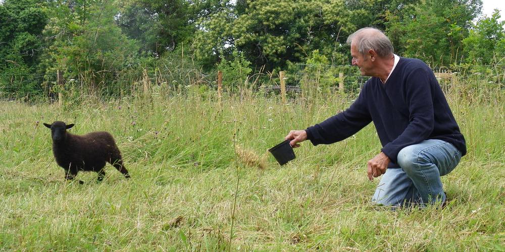  APYRAINE (Nouvelle-Aquitaine, Dordogne)
