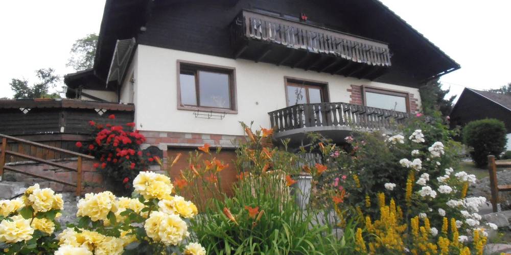 En arrivant par la rue du Schirbach -  L'ALVEOLE DU SCHIRBACH (Grand Est, Haut-Rhin)