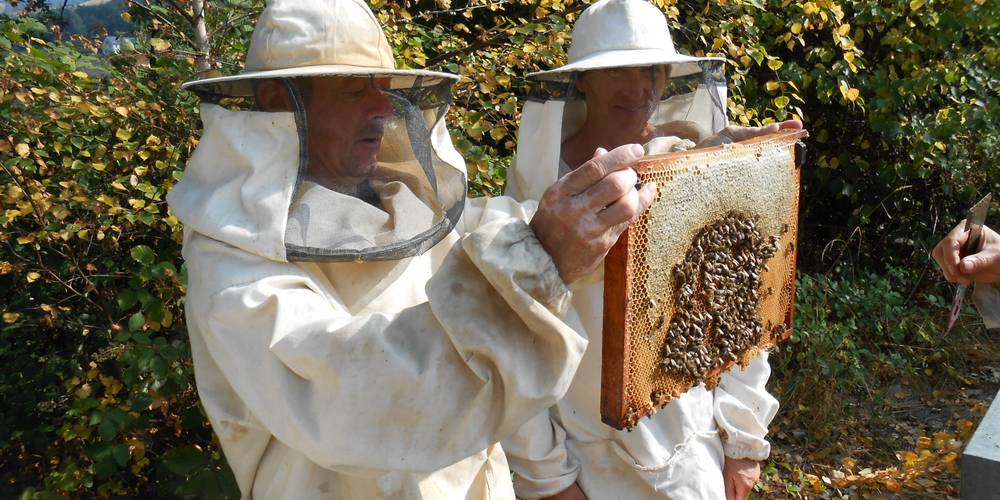 Animation au rucher -  L'ALVEOLE DU SCHIRBACH (Grand Est, Haut-Rhin)