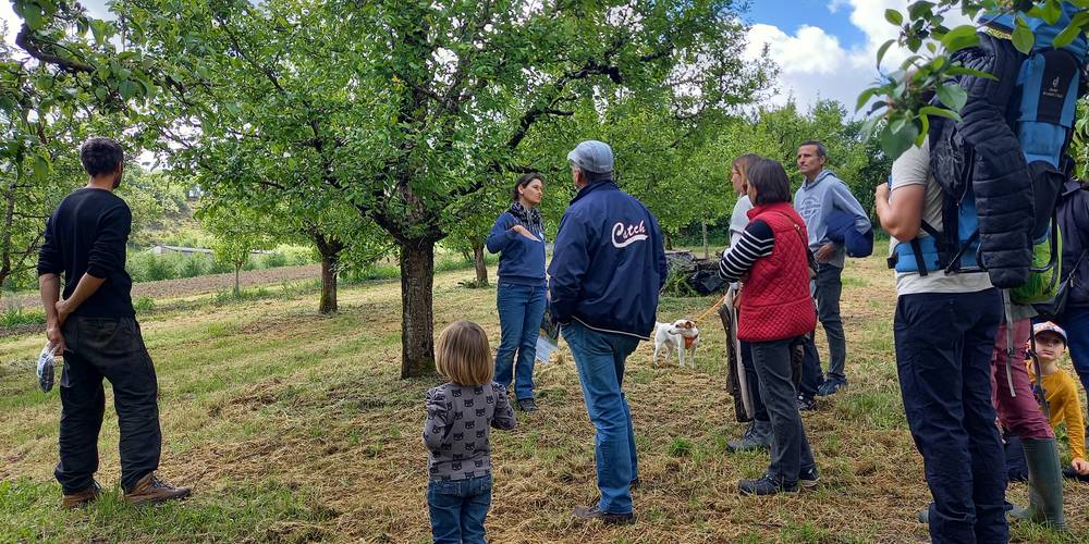  FERME QU' ES AQUO (Occitanie, Lot)