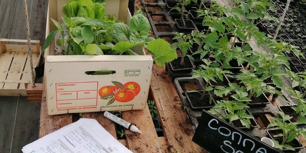  MAS DE CANTAGREL (Occitanie, Lot)