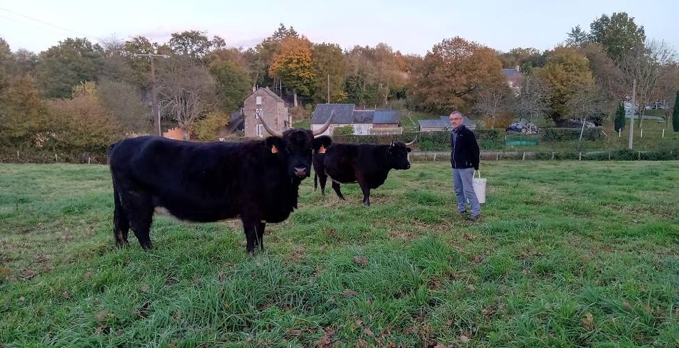  CAMPING PAYSAN DE LA GILBERDIÈRE (Normandie, Orne)