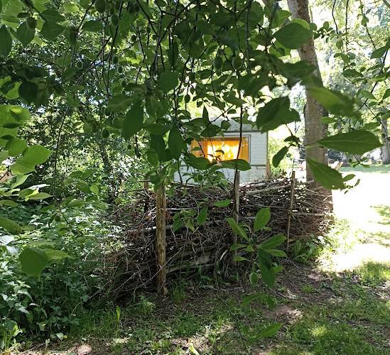 Une haie séche c'est ça! -  CAMPING PAYSAN DE LA GILBERDIÈRE (Normandie, Orne)