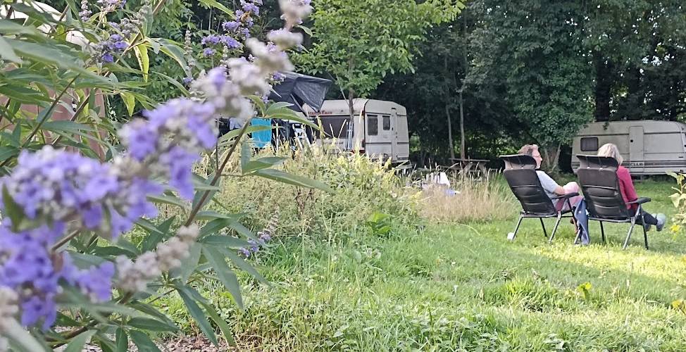 Il fait bon rêver -  CAMPING PAYSAN DE LA GILBERDIÈRE (Normandie, Orne)