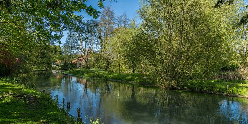  L'Eau Ty et La Hulotte (Hauts-de-France, Somme)