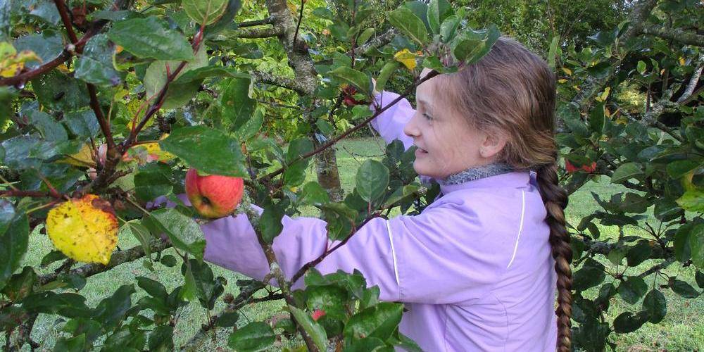  L'EGLANTIER (Nouvelle-Aquitaine, Creuse)