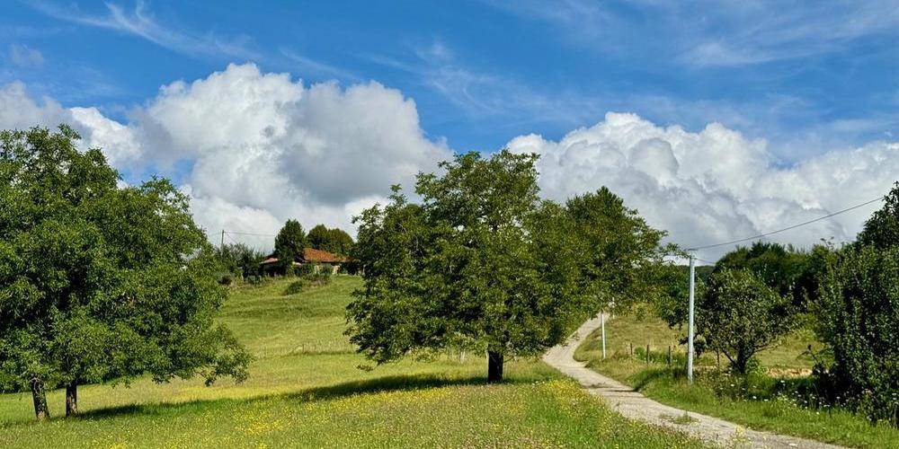  Gîte de la Grange du Haut (Auvergne-Rhône-Alpes, Isère)