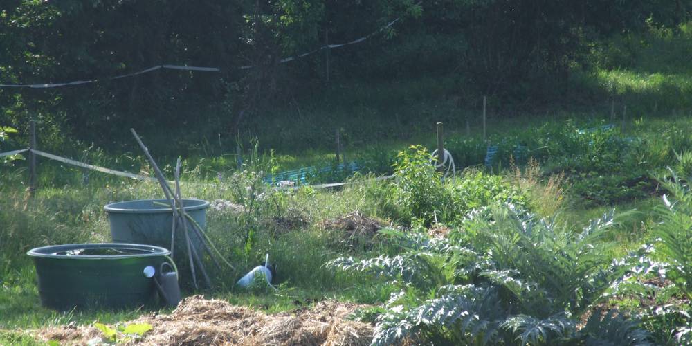  Gîte de la Grange du Haut (Auvergne-Rhône-Alpes, Isère)