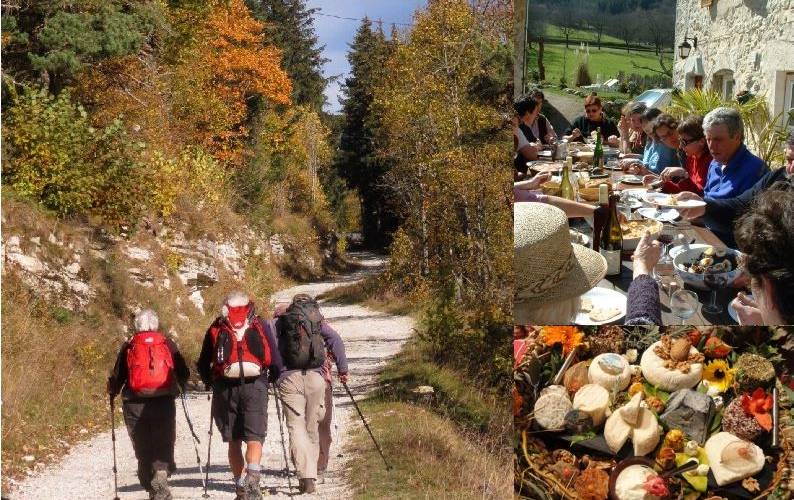  Gîte de la Grange du Haut (Auvergne-Rhône-Alpes, Isère)