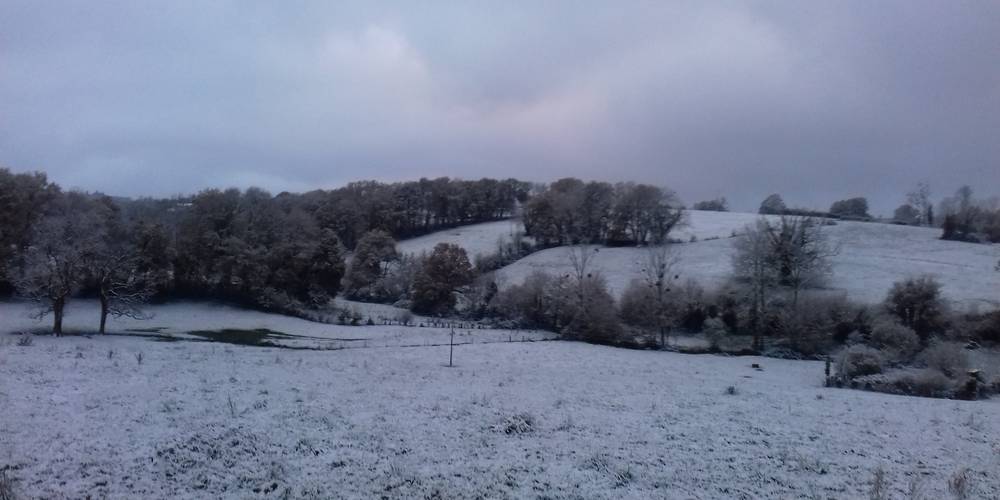 PRAIRIE FACE AU RELAIS -  BIENVENUE AU RELAIS DE MALLEYRAND - MAISON D'ACCUEIL SOCIAL POUR JEUNE MINEUR EN MILIEU RURAL (Nouvelle-Aquitaine, Charente)
