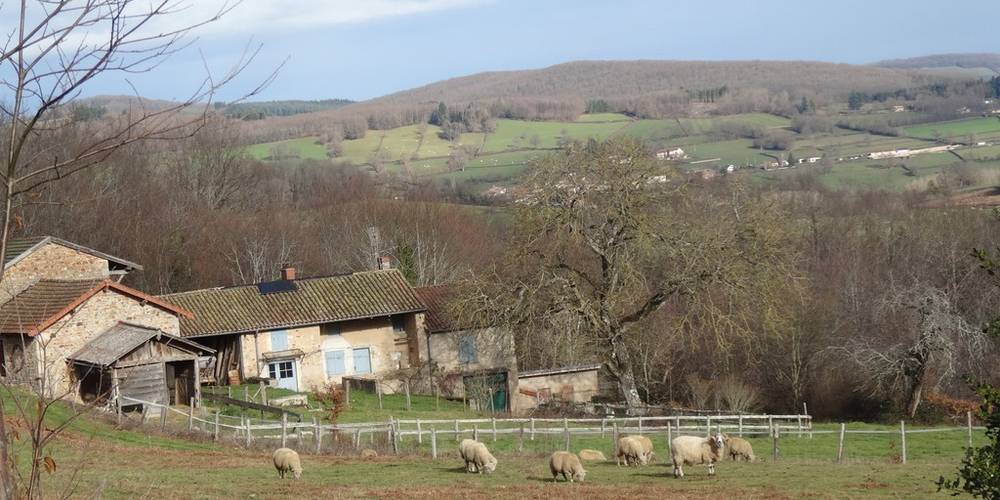  Gîte des châtaigniers (Bourgogne-Franche-Comté, Saône-et-Loire)