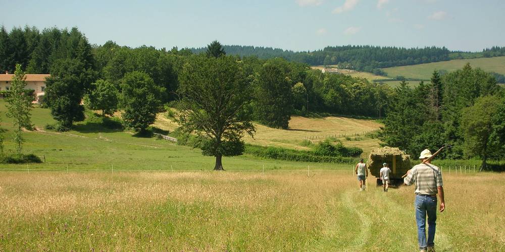 la clairière d'Ouilly -  Gîte des châtaigniers (Bourgogne-Franche-Comté, Saône-et-Loire)