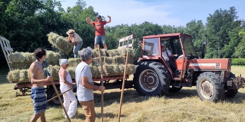 Aux Châtaigniers, rentrée des foins -  Gîte des châtaigniers (Bourgogne-Franche-Comté, Saône-et-Loire)