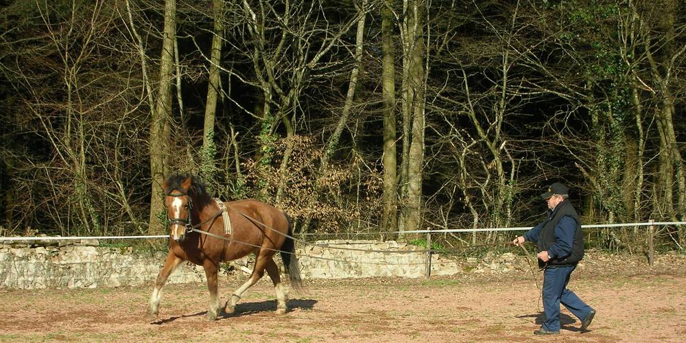 une carrière à dispsition -  Gîte des châtaigniers (Bourgogne-Franche-Comté, Saône-et-Loire)
