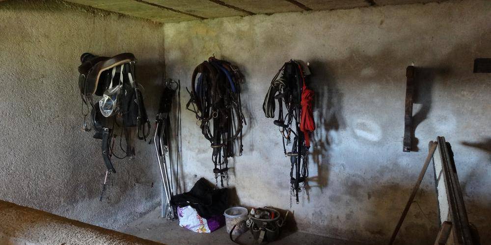 la sellerie privative -  Gîte des châtaigniers (Bourgogne-Franche-Comté, Saône-et-Loire)